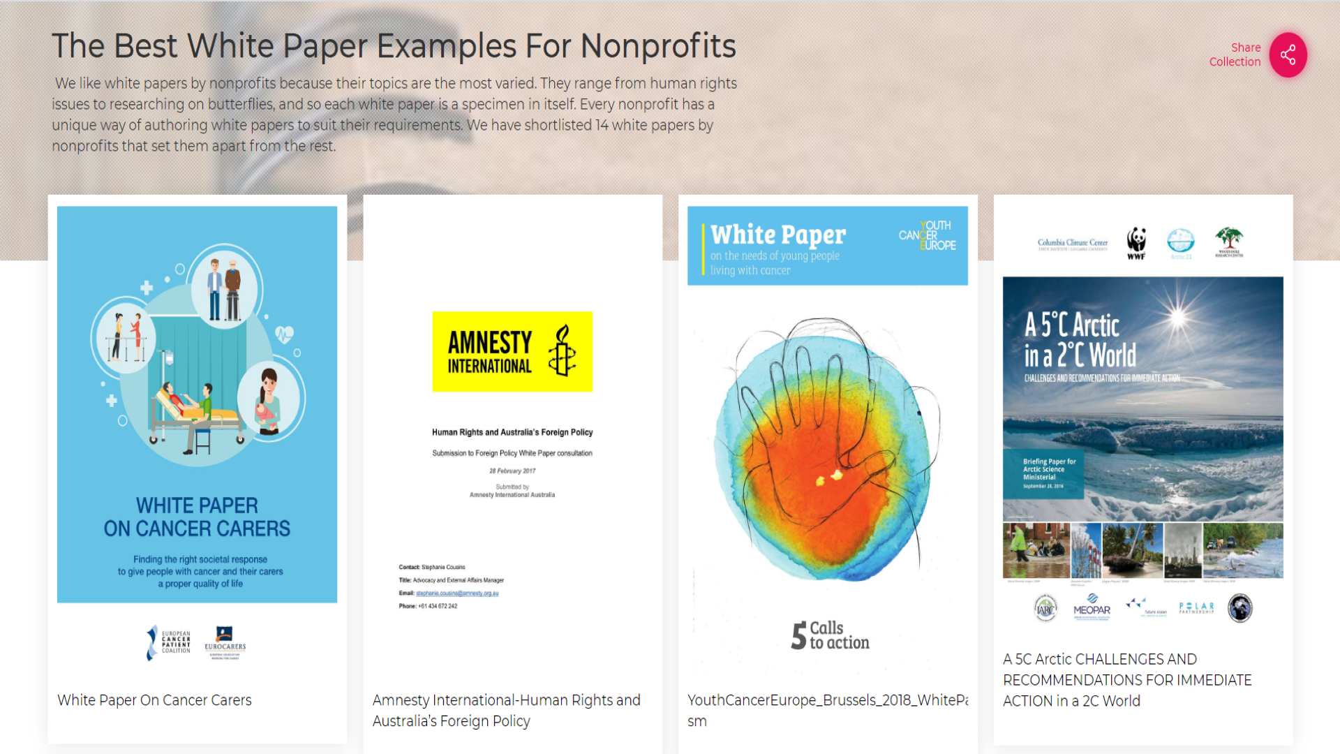 Best White Paper Examples for Nonprofits