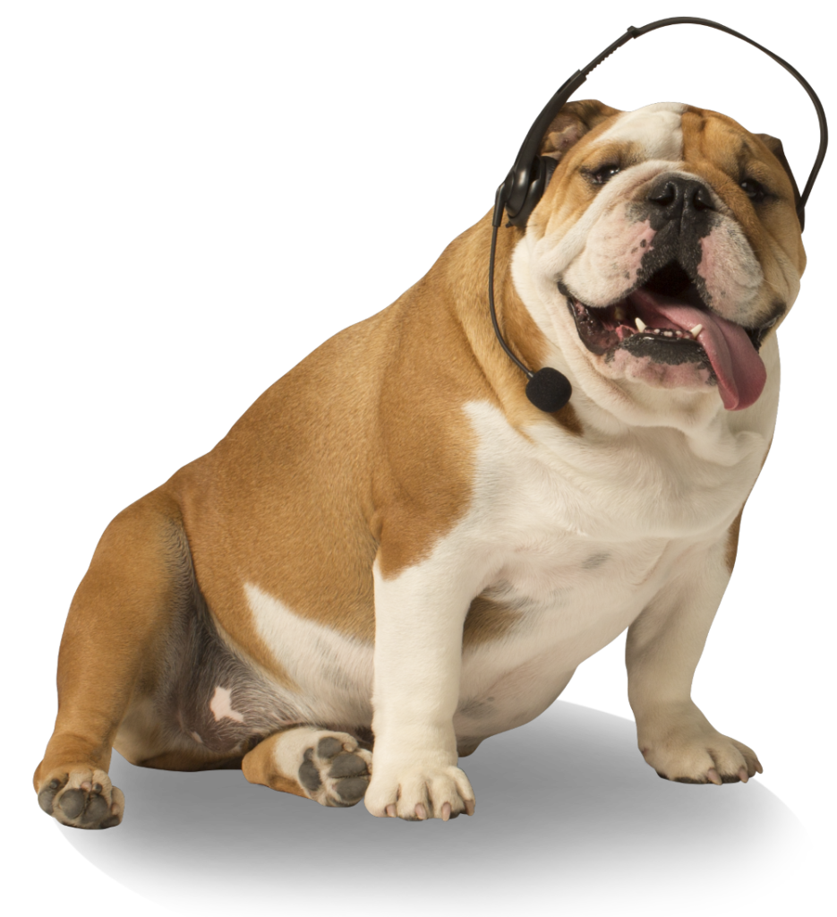 Gong-Bruno-Bulldog-Salesforce Integration