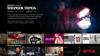 Image of Netflix content hub - By Paperflite