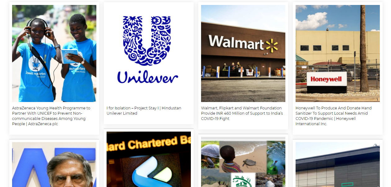 charitable initiative template