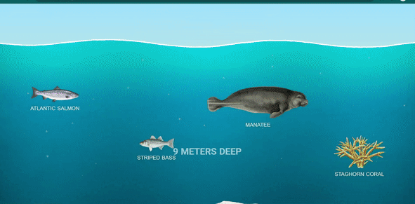 GIF of The Deep Sea by Neal Agarwal 